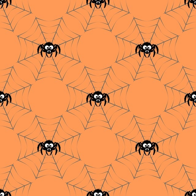 Free spider critter insect vector