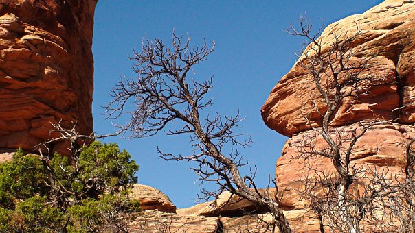 Free Capitol Reef Capitol Reef National Park photo and picture
