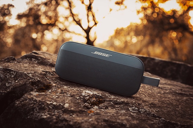 Palestrante, Bluetooth, Música