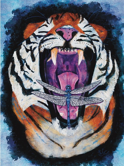 Tigre, Libélula, Inseto, Natureza