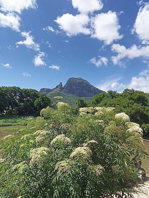 Free Mauritius Mourne Brabant photo and picture