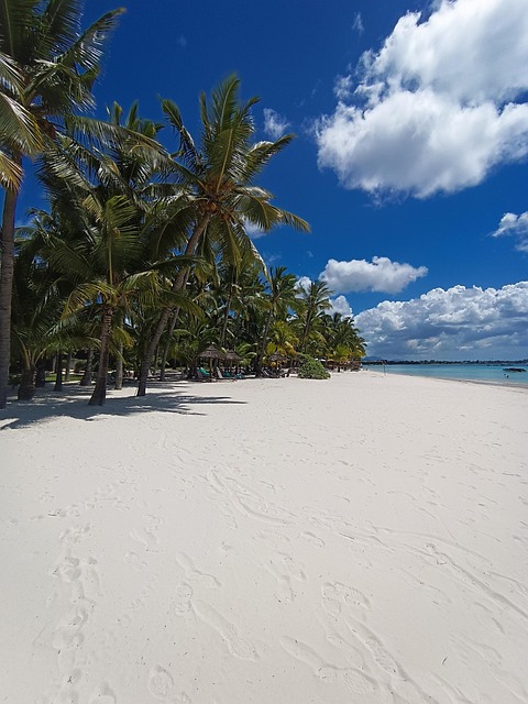 Free Mauritius Beach photo and picture