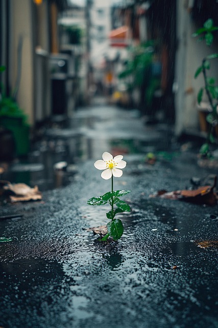 Free flower bloom rain illustration