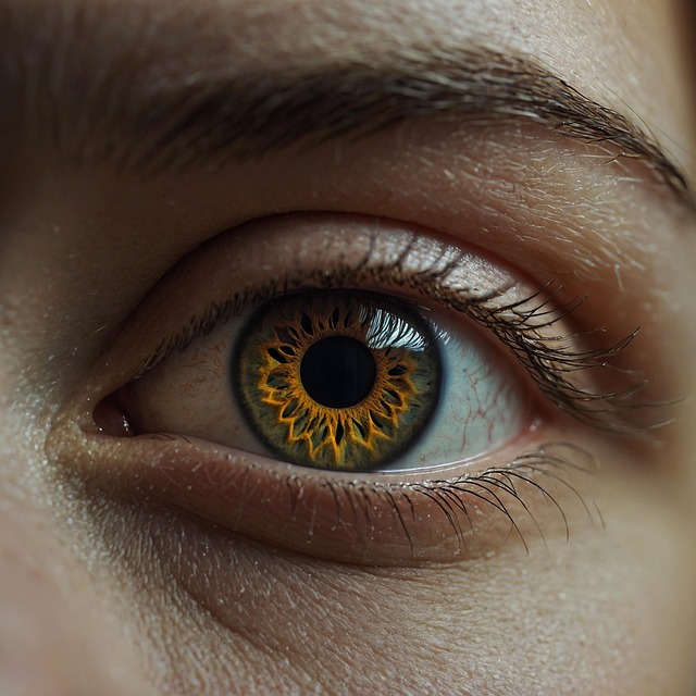 Explore 16 768 Free Eyes Close Up Illustrations Download Now Pixabay