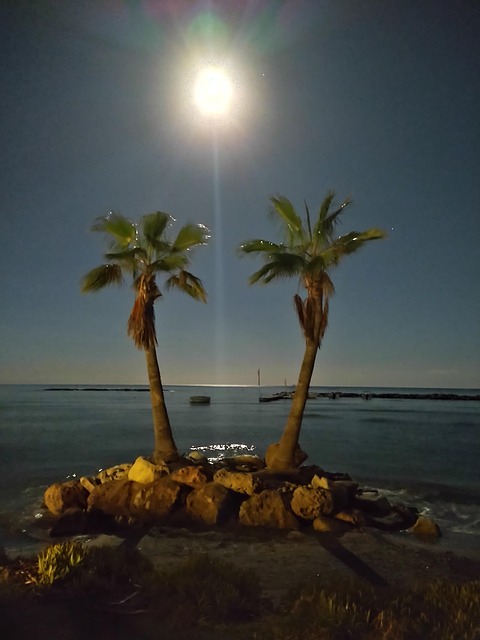 Free Landscape Nature photo and picture