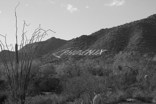 Free Phoenix Phoenix Sign photo and picture