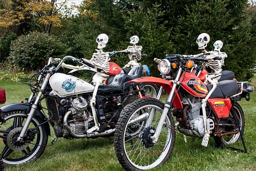 Free Skeleton Halloween photo and picture