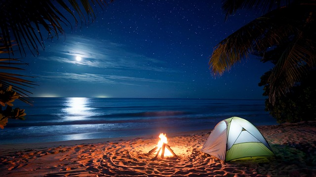 Free Ai Generated Camping illustration and picture