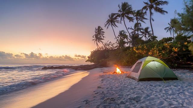 Free Ai Generated Camping illustration and picture