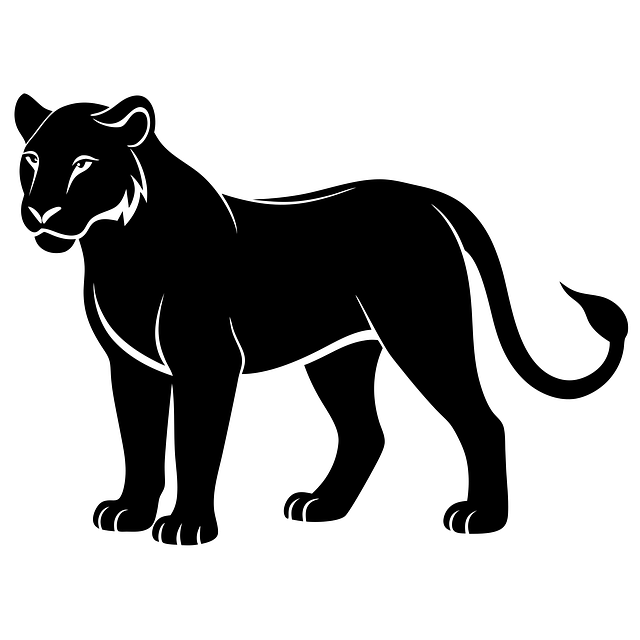 Download Lioness, Lioness Layout, Black Lioness. Royalty-Free Vector ...