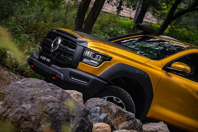 Free Gwm Poer Mountain And Sea Cannon photo and picture