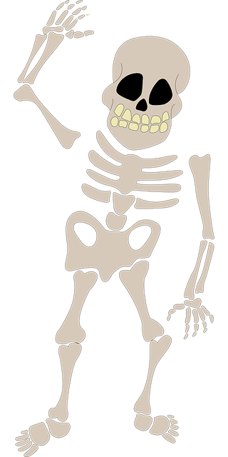 Knochen, Skelett, Halloween, Schrecklich