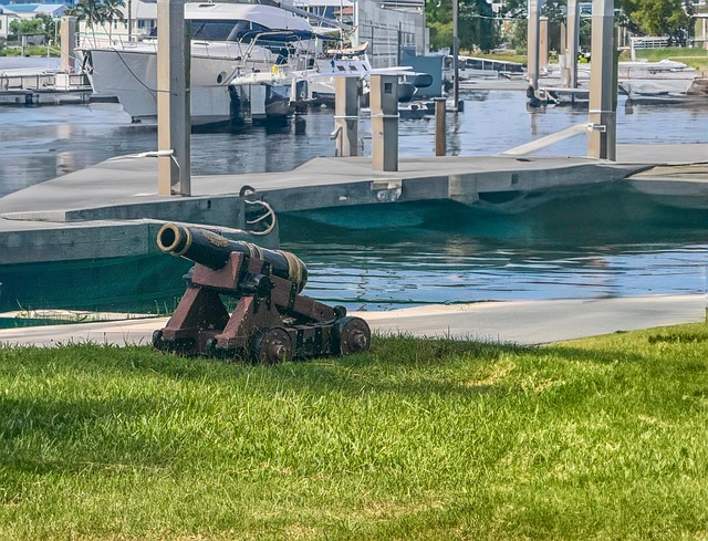 Free Cannon Gunpowder photo and picture