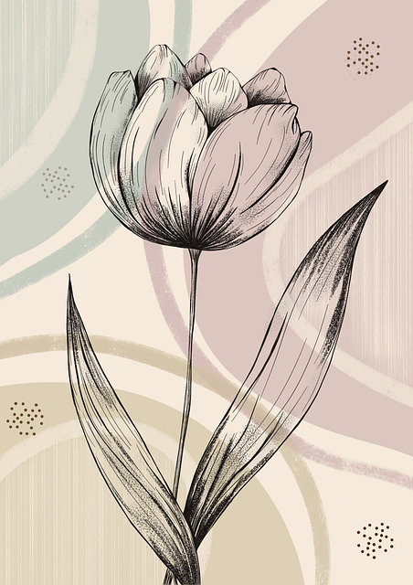Download free HD stock image of Flower Tulip Free flower tulip nature illustration