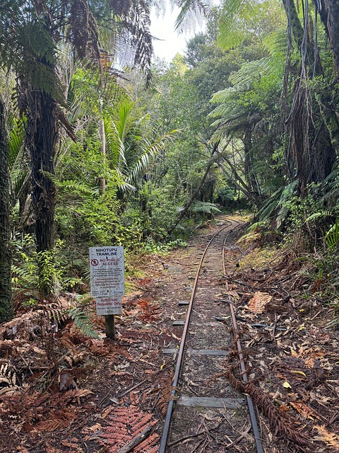 Calea, Pădure, Natura, Australia