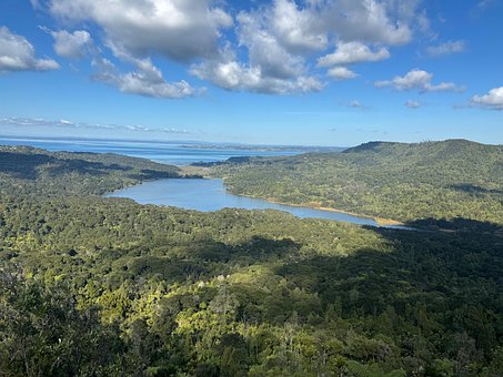 Vedere, Pădure, Natura, Australia
