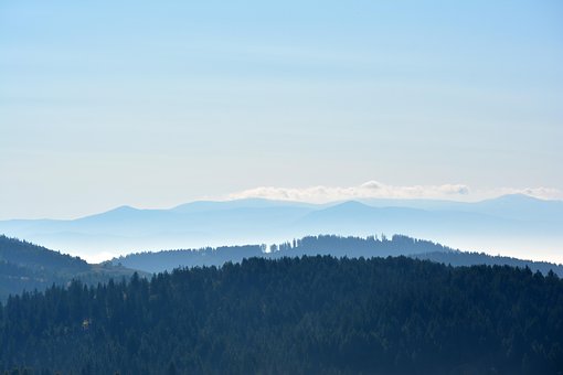 Nieder, Wald, Berg, Nebel, Landschaft