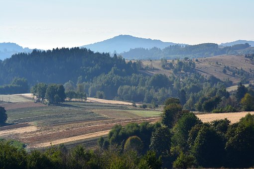 Landschaft, Wiese, Wald, Sonnenaufgang