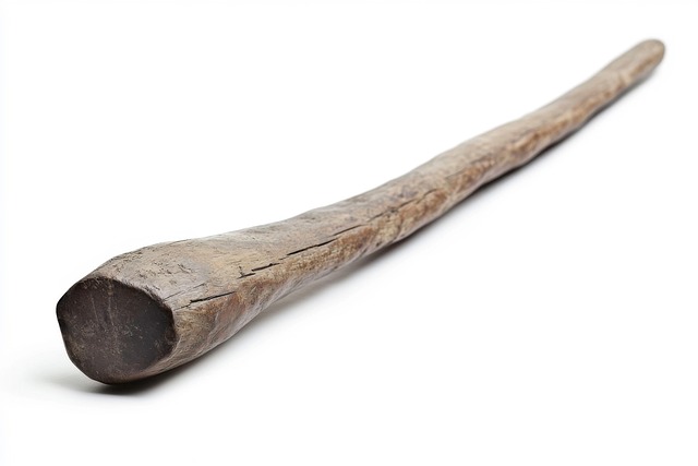 Ai Generat, Cultură, Surma, Southsudan