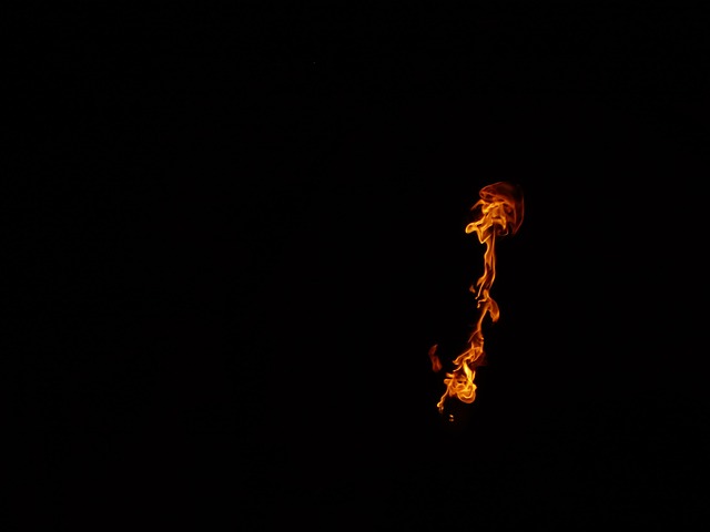 Free Fire Hot photo and picture