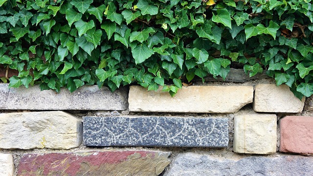 Free Wall Masonry photo and picture