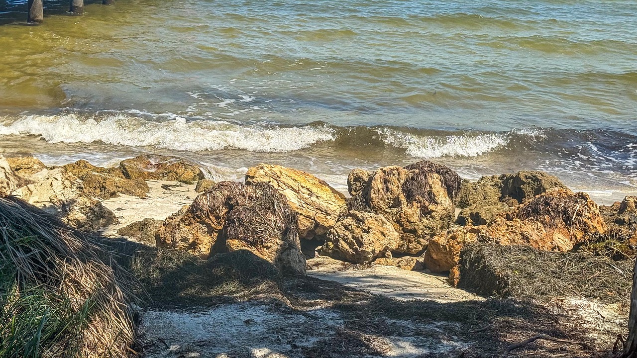 Photo Rocks Sea Rocks Sea Beach - Free photo on Pixabay