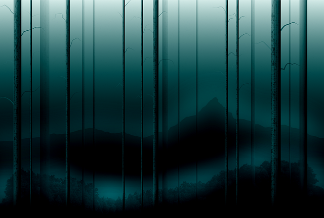Free nature woods forest illustration
