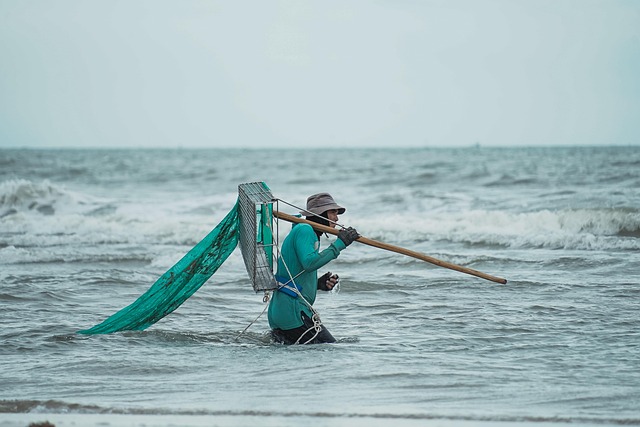 fisherman, nature, man, sea, hardworking, traditional, vietnam, work, outdoors