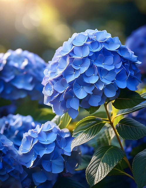 Download free HD stock image of Ai Generated Hydrangea Free ai generated hydrangea blue illustration
