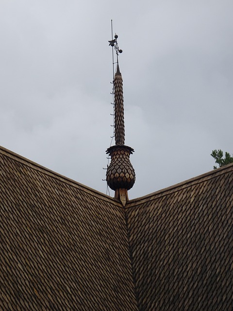 Træ Helvedesild, Helvedesild, Tag