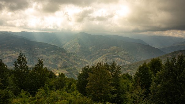 Free View Nature photo and picture