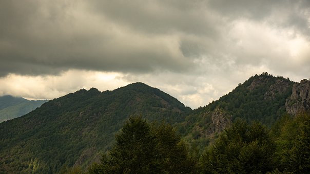 Vista, Naturaleza, Bosque, Cielo