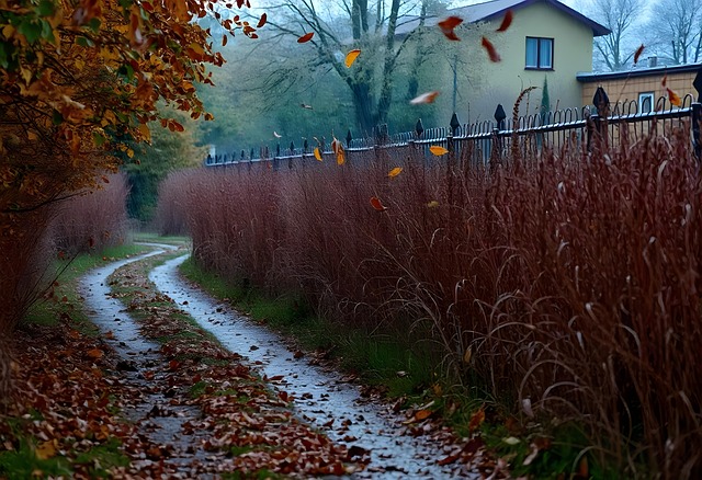 Dorp, Natuur, Platteland, Straat, Toneel
