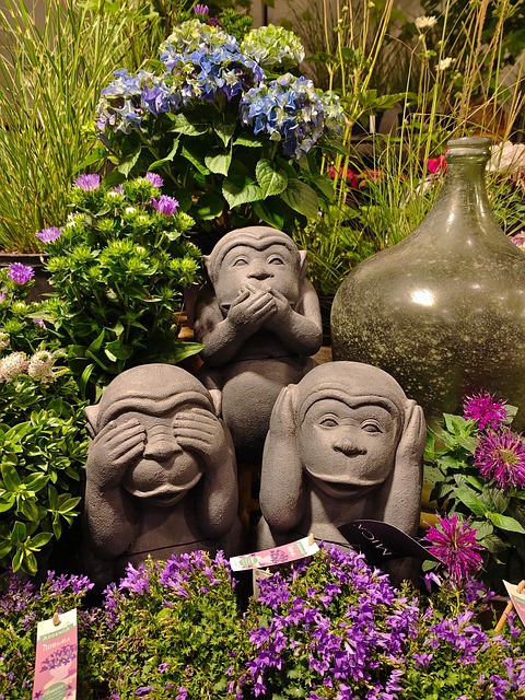 Free Monkeys Hear Nothing photo and picture
