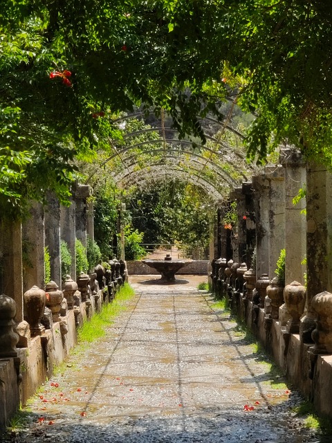 Free Garden Botanical Garden photo and picture