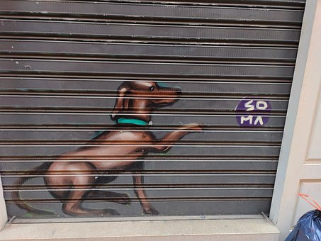 Free Street Art Sprayer photo and picture