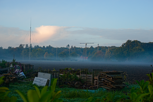 Free Fog Antenna illustration and picture