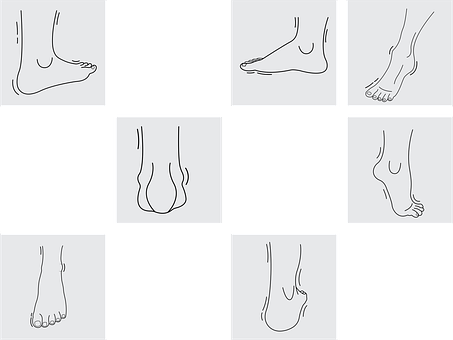 Free Foot Feet vector and picture