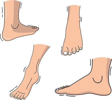 Free Foot Feet vector and picture