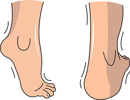 Free Foot Feet vector and picture