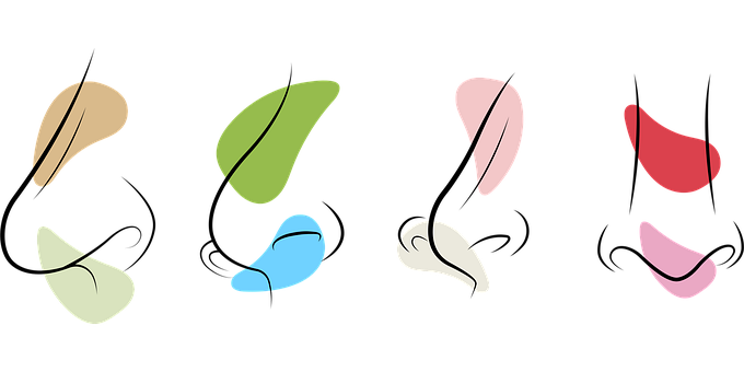 Free Nose Profile vector and picture