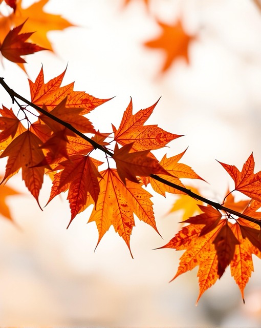 Free ai generated maple leaves leaves illustration