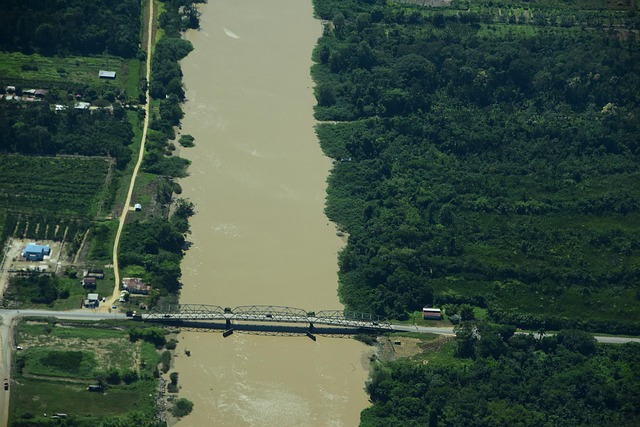 Río, Naturaleza, Agua, Bosque, Paisaje