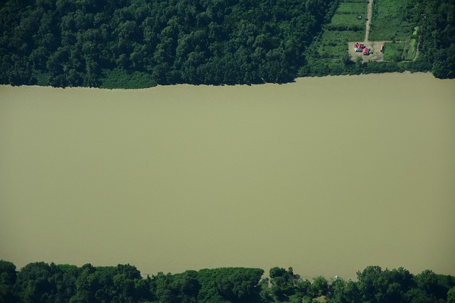 Río, Naturaleza, Paisaje, Agua, Bosque