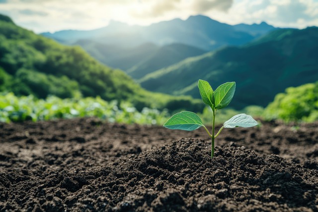Free ai generated plant growth illustration