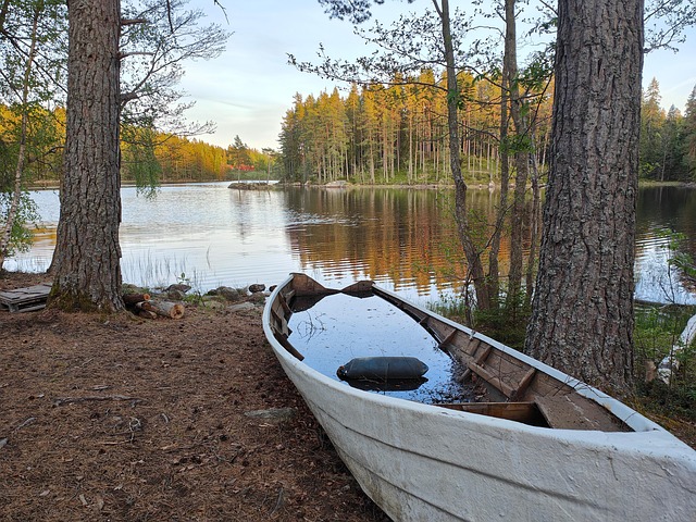 Free Sweden Nature photo and picture