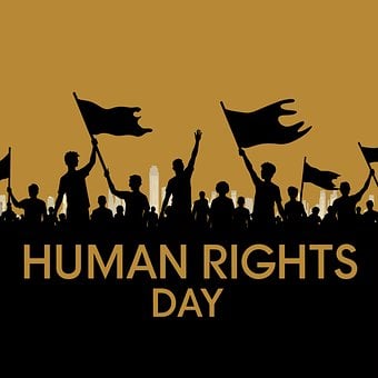 Humano, Certo, Dia, Liberdade, Pessoas