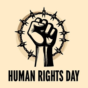 Humano, Certo, Dia, Liberdade, Pessoas