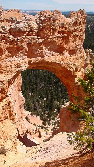 Free Bryce Canyon Usa photo and picture