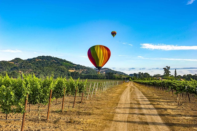 Balões De Ar Napa